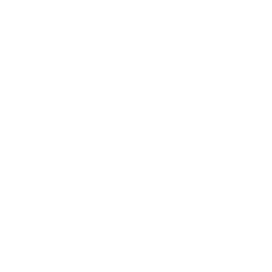 parkign stop icon white